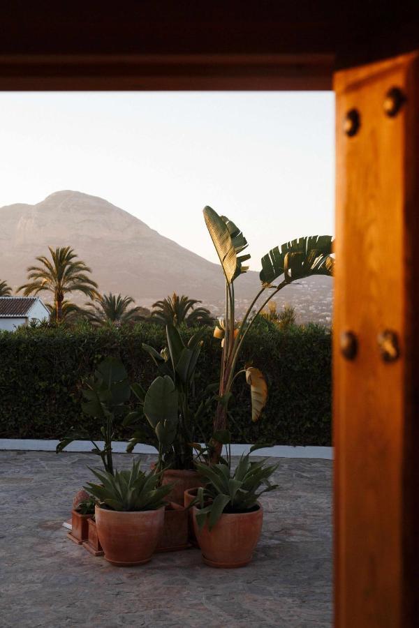 فندق The Adelante House خافييا المظهر الخارجي الصورة